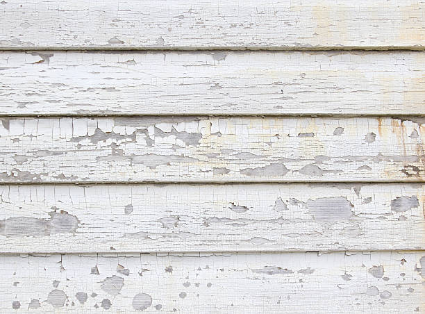 Trusted Fulton, NY Junk Removal Experts